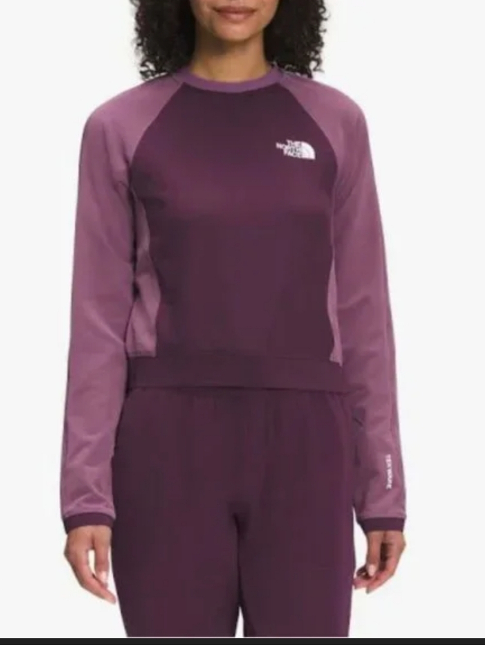 The North Face Long Sleeve Pullover Telwear Future Fleece Small